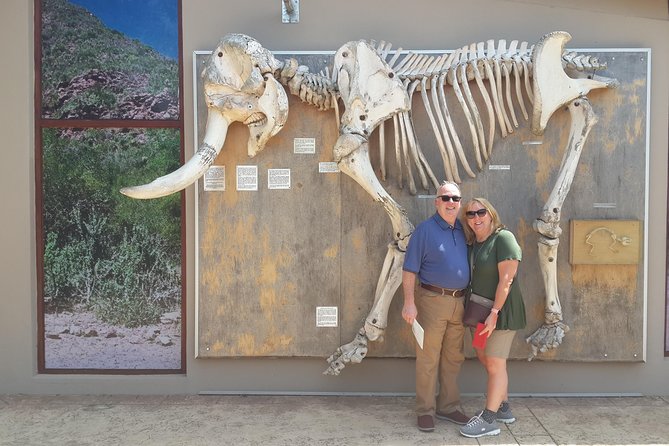 Addo Elephant National Park Tours from Port Elizabeth - How to fit this Addo safari into a Port Elizabeth itinerary