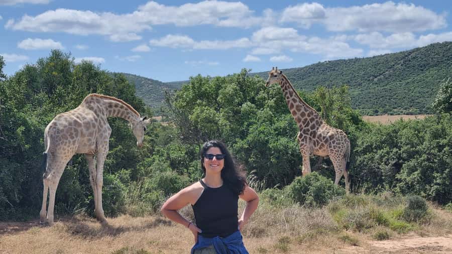 Addo Elephant Park and Giraffe Walk Full Day Safari - Key things I’d circle before you book
