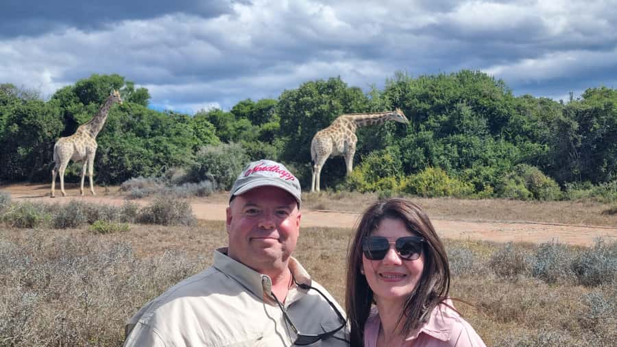 Addo Elephant Park and Giraffe Walk Private Full Day Safari - Quick hits you will actually care about