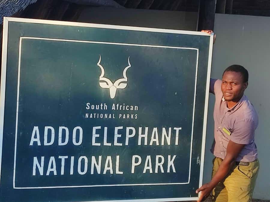 Addo Elephant Park Tours. Full Day - Key Points You Should Know Before You Book
