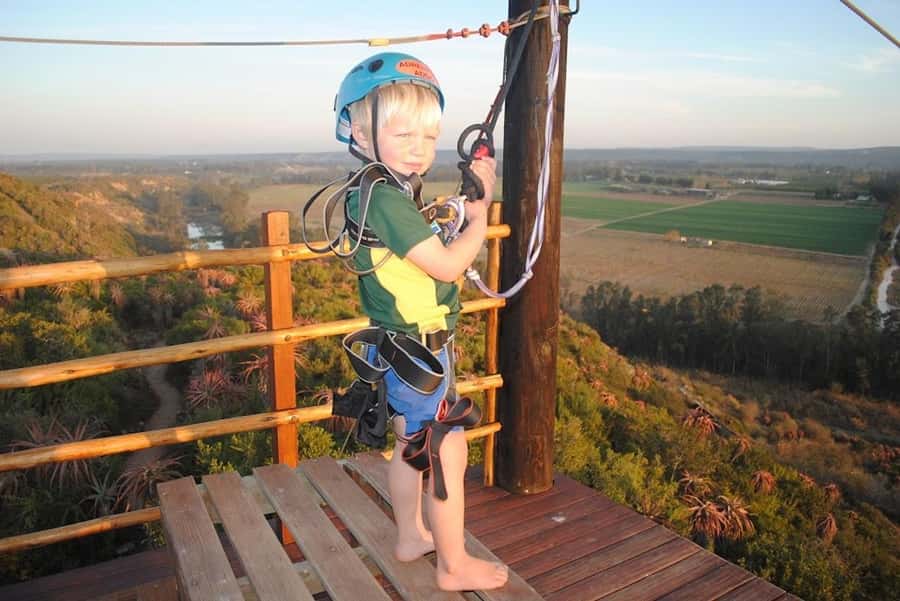 Adrenalin Addo Adventure Park: Zip Line and Giant Swing - Arrival At The Park: Harness, Height, Then The Moment