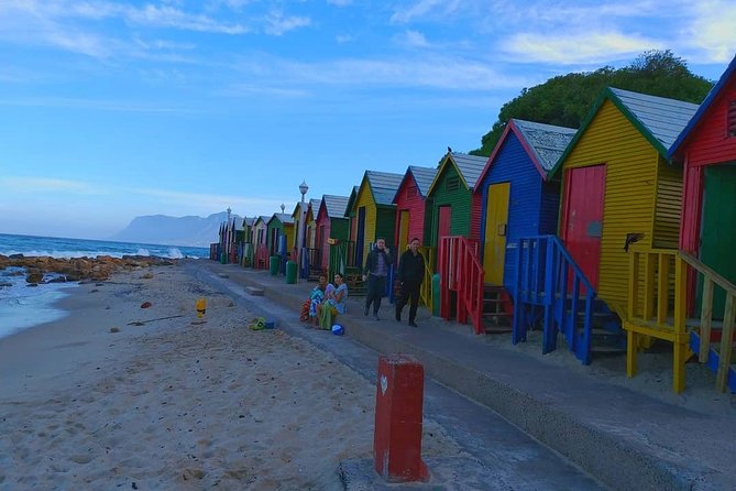 African Penguins (Boulders Beach) Half Day tour from Cape Town - Chapman’s Peak Drive: why the drive is a selling point in a half-day