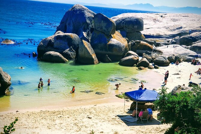 African Penguins (Boulders Beach) Half Day tour from Cape Town - Pickup, timing, and where the day actually starts