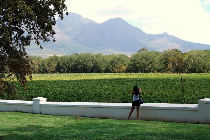 African Story Wine Tours in the Cape Winelands - 8:30 Pickup to Four Wineries: What Your Day Actually Looks Like