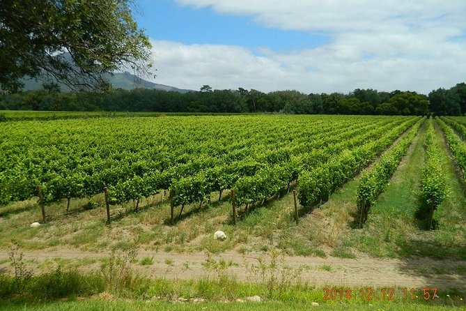 African Story Wine Tours in the Cape Winelands - Who This Tour Fits Best, and Who Should Skip It