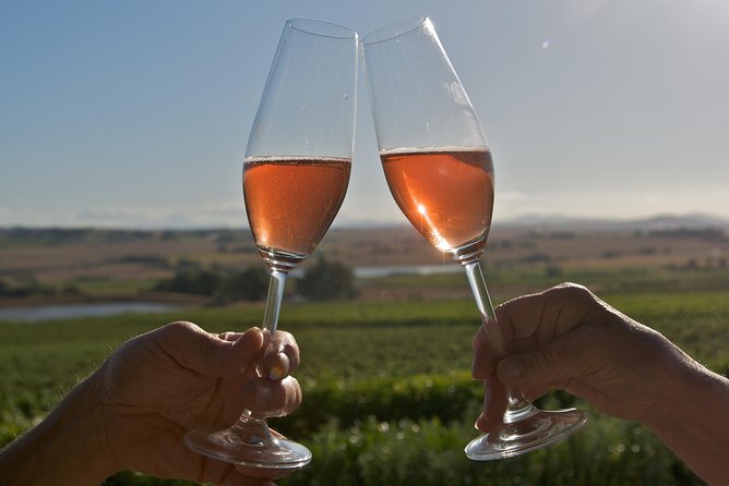 African Story Wine Tours in the Cape Winelands - Should You Book African Story Wine Tours for the Winelands?