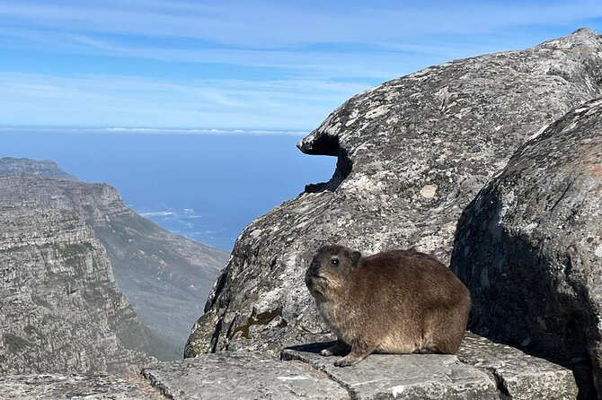 African Wonder of Nature Table Mountain Hike. - The views over the Atlantic Seaboard, bays, beaches, and Robben Island