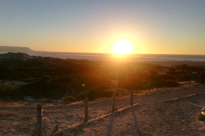 Airport Shuttle to and from Cape Town Airport - How much guidance you’ll get, and what to expect