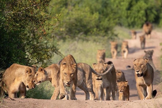 All Inclusive 2 Day Kruger Safari from Johannesburg - Your lodge stay: what “all-inclusive” means in real life