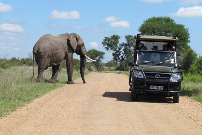 All Inclusive 2 Day Kruger Safari from Johannesburg - Price and value: is $805.19 per person worth it?