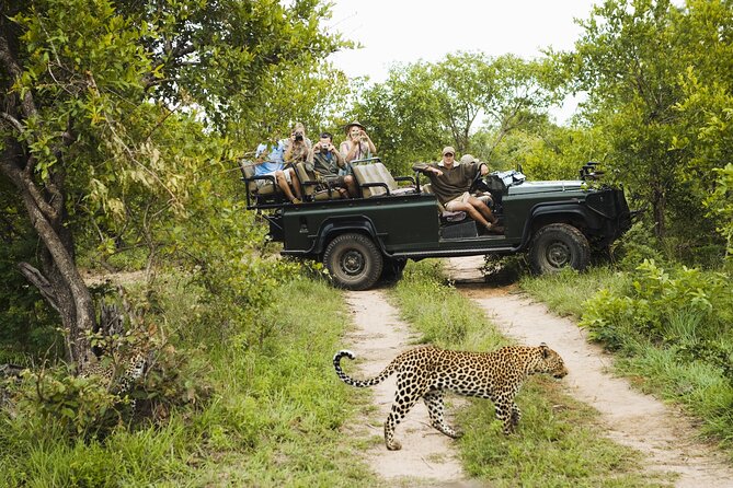 All inclusive BIG 5 Kruger 2 Day Safari from Johannesburg - Why a 2-Day Big Five Safari Works from Johannesburg