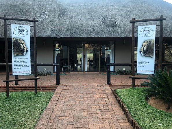 Ann Van Dyk Cheetah Centre Tour from Johannesburg or Pretoria - Key things I’d make sure you notice
