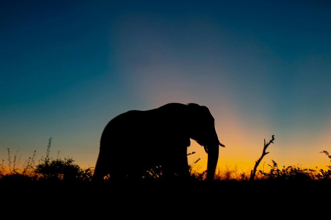 Aquila Game Reserve Sunset Safari - Key highlights you should know