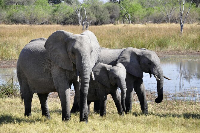 Aquila Game Reserve Sunset Safari - Group Size and Comfort: 10 People Max for Better Spotting