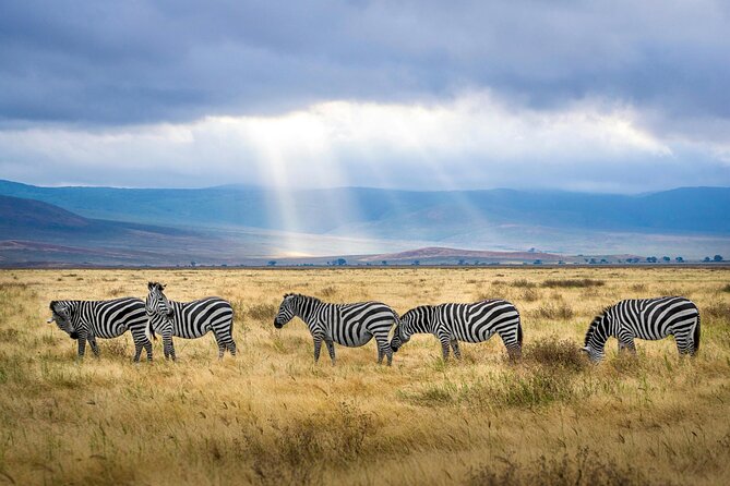 Aquila Game Reserve Sunset Safari - When to Book and How to Handle Changes