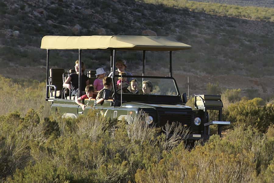 Aquila Reserve: Private Day Tour with Shared Game Drive - Luxury Pickup, then Off to the Wild: Western Cape to Aquila