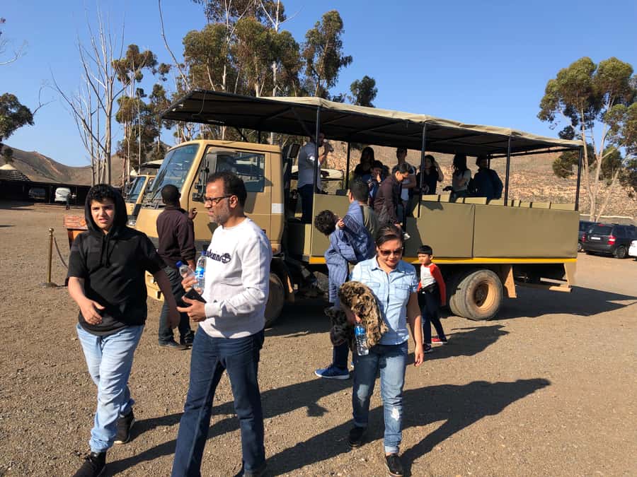 Aquila Reserve: Private Day Tour with Shared Game Drive - Who This Tour Suits Best (and Who Might Prefer a Different Plan)