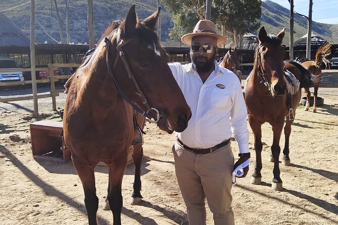 Aquila Reserve Safari with Lunch and Wine Tasting - Who This Tour Is Best For