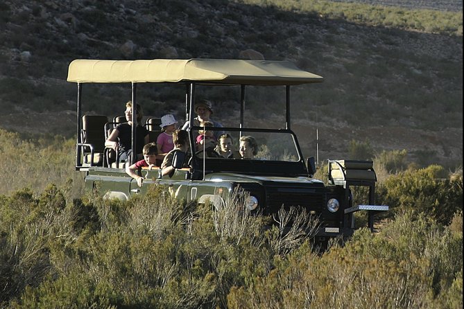 Aquilla BIG5 private Safari Cape Town - What to expect from the facilities and wildlife management