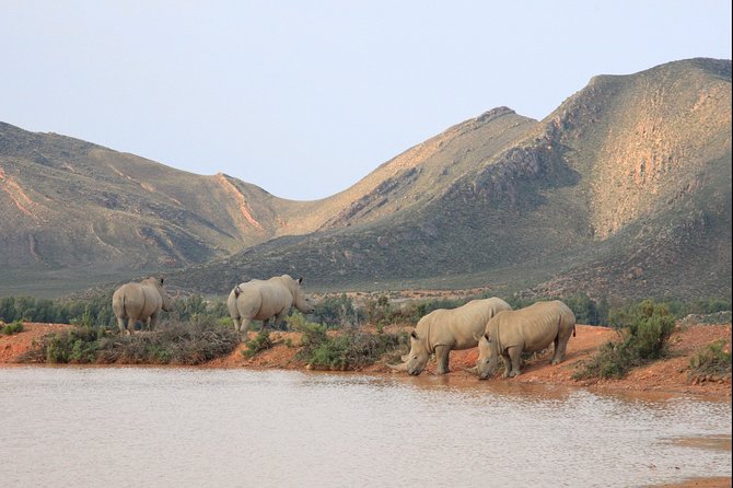 Aquilla BIG5 private Safari Cape Town - What to pack and how to plan for comfort