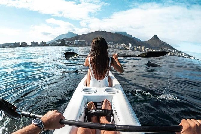 Atlantic Outlook Kayak Tour Cape Town - Wildlife You Might See, Plus How to Think About It Realistically