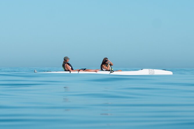 Atlantic Outlook Kayak Tour Cape Town - Weather, Rescheduling, and the Smart Way to Book
