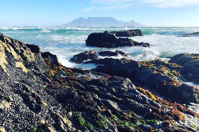 Authentic Cape Town Tour - The Real Point of an Authentic Cape Town Tour