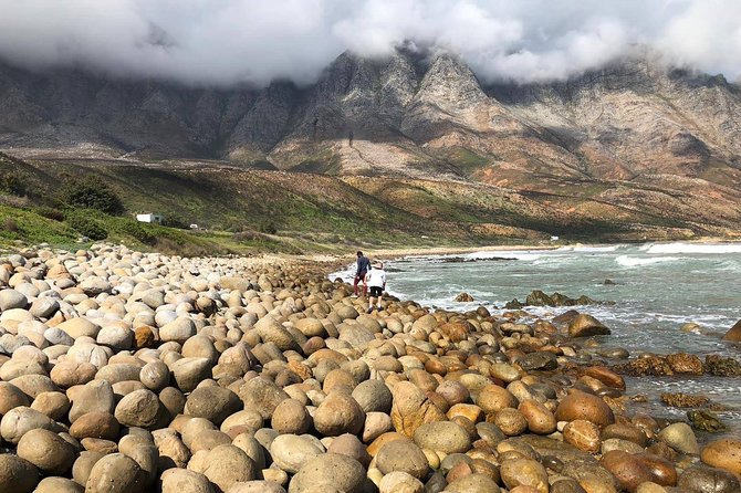 Authentic Cape Town Tour - Beach Seafood: When the Day Turns From Sightseeing to Tasting