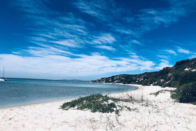 Authentic Cape Town Tour - Wine and Neighborhood Pairing: A Day That Can Match Your Tastes