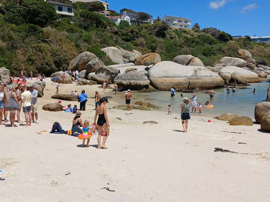 Beach Day at Boulder's Beach & Penguin watching, Half Day - Key Highlights You’ll Care About