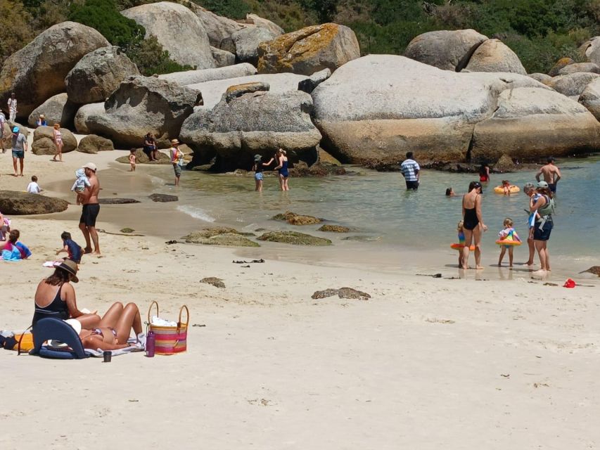 Beach Day at Boulder's Beach & Penguin watching, Half Day - Who This Tour Suits Best (and Who Should Rethink)