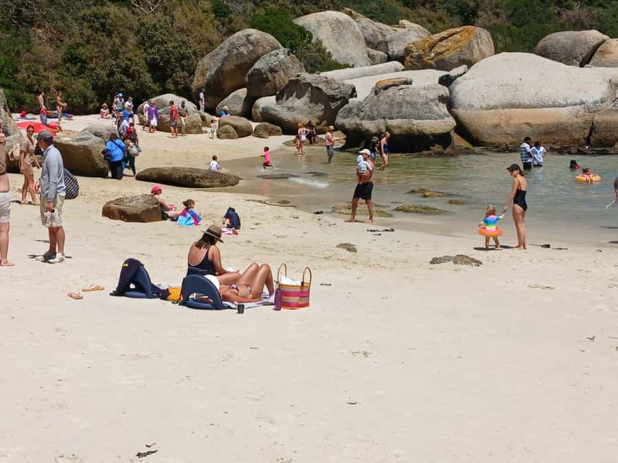 Beach Day at Boulder's Beach & Penguin watching, Half Day - Maiden’s Cove Above Camps Bay: The Kodak Moment Viewpoint Stop