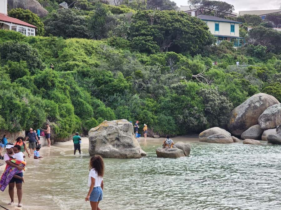 Beach Day at Boulder's Beach & Penguin watching, Half Day - Chapman’s Peak Drive: World-Icon Road Photos Without the Stress