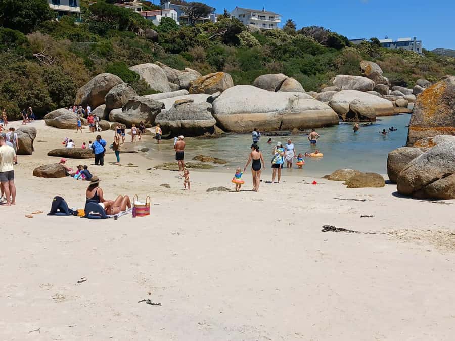Beach Day at Boulder's Beach & Penguin watching, Half Day - Price and Value: What Your $36 Actually Buys