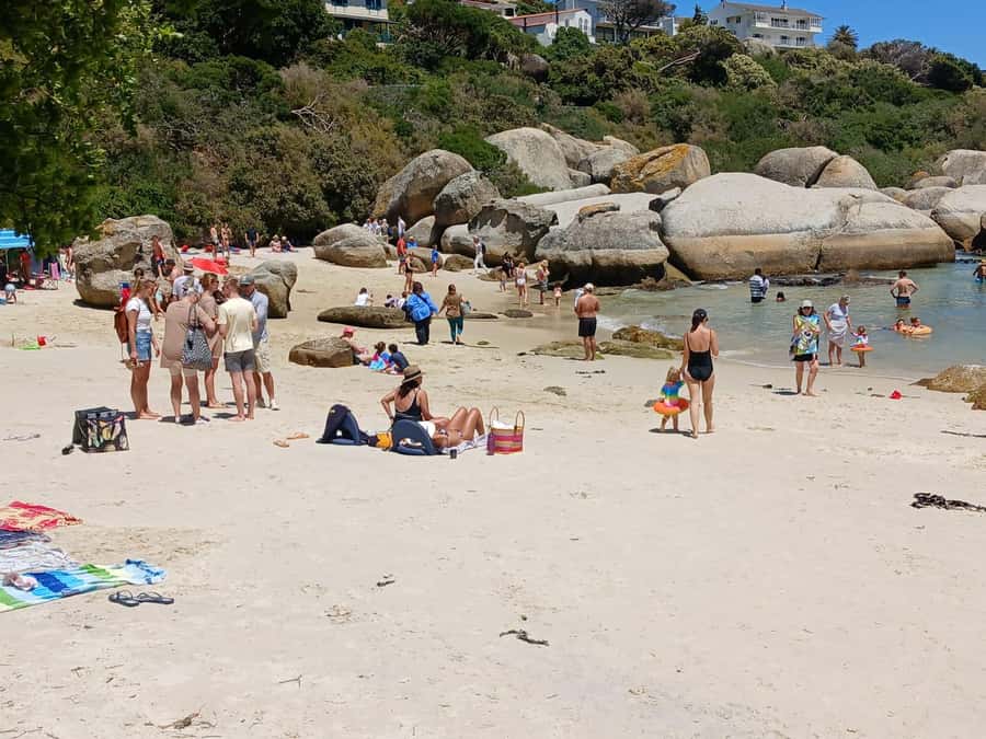 Beach Day at Boulder's Beach & Penguin watching, Half Day - Guides Make the Difference: The Names You Might Meet