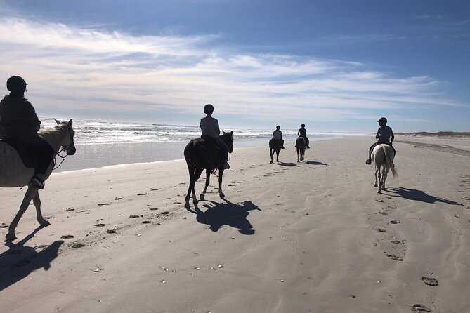 Beach Horse Ride in Yzerfontein, Western Cape - Key things to know before you ride
