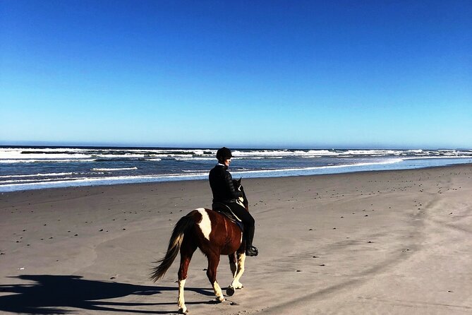 Beach Horse Ride in Yzerfontein, Western Cape - Meeting at Yzerfontein Community Hall and timing it to low tide