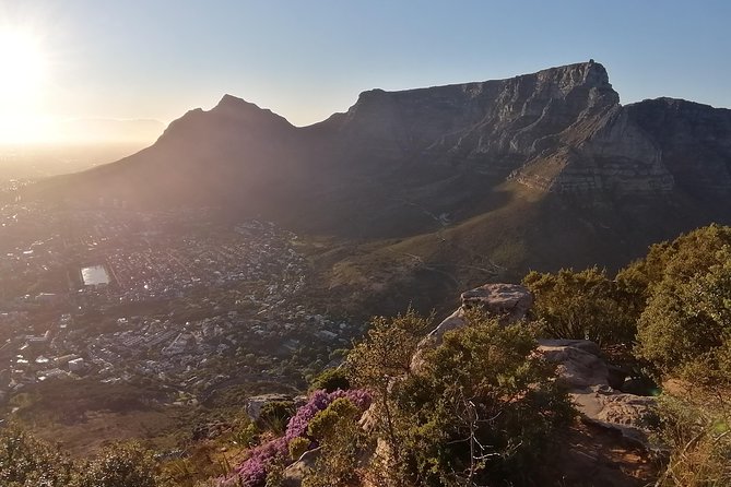 Beautiful Table Mountain Hike - Table Mountain by foot, not just a view from above