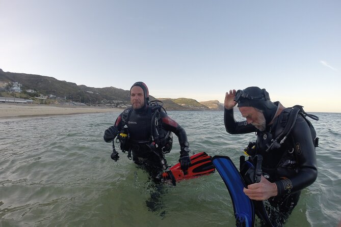 Beginner Scuba Diving Experience in Simonstown. - Key Highlights You’ll Care About