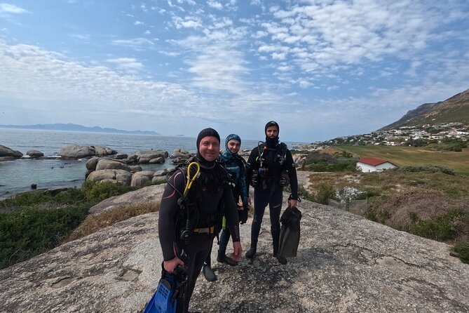 Beginner Scuba Diving Experience in Simonstown. - Marine Life Chances: Kelp Forests, Seals, Penguins, and More