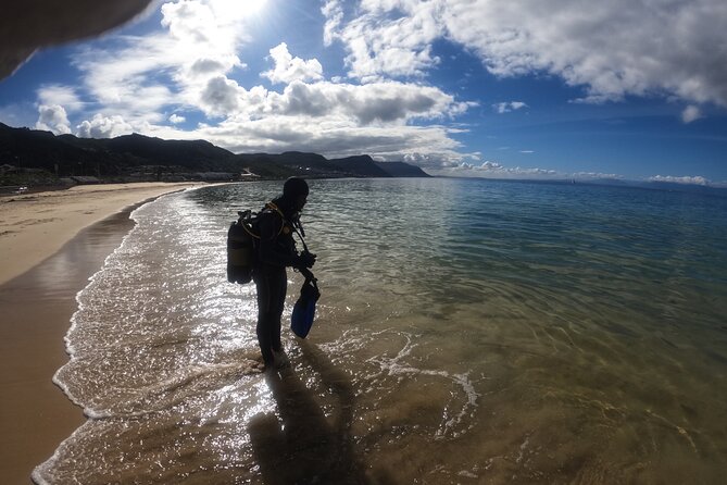 Beginner Scuba Diving Experience in Simonstown. - Meeting at Jubilee Square and Getting Gear-Ready