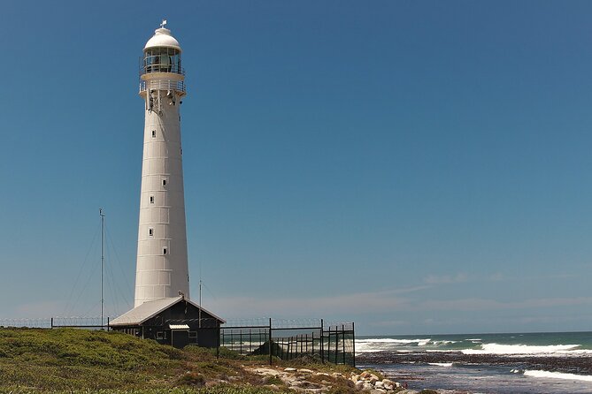 Best of Cape Town Cape Point and Wineries Combined Private Tour - Simon’s Town and Boulders Beach: Penguins First, Stress Last