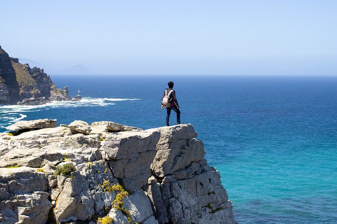 Best of Cape Town Cape Point and Wineries Combined Private Tour - Cape Point Nature Reserve and Cape of Good Hope, Where the Views Earn Their Keep