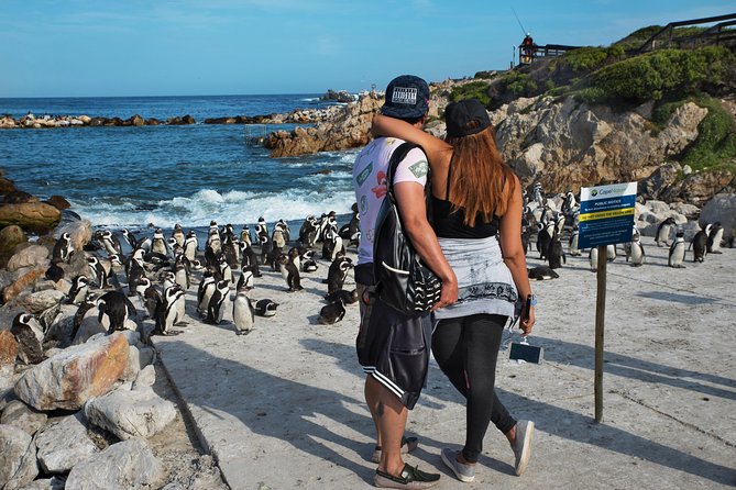Best of Cape Town Full-Day Private Tour with Table Mountain - Hout Bay, Chapmans Peak Drive, and the Atlantic Seaboard hits
