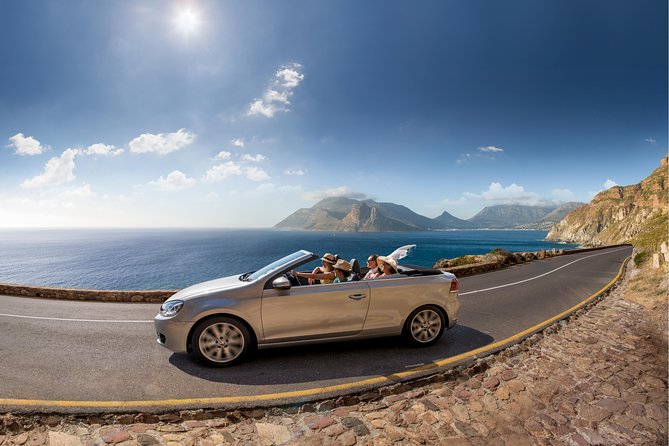 Best of Cape Town Full-Day Private Tour with Table Mountain - Cape Point Vineyards and Groot Constantia or Stellenbosch wine route choices