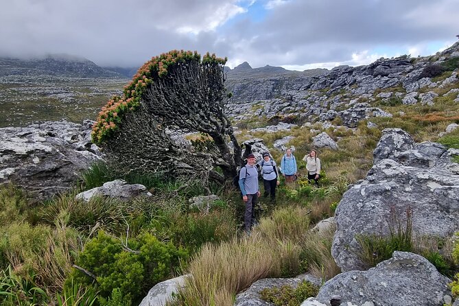 BEST of Table Mountain! Exhilarating Full-day Guided Hike - Key points before you go