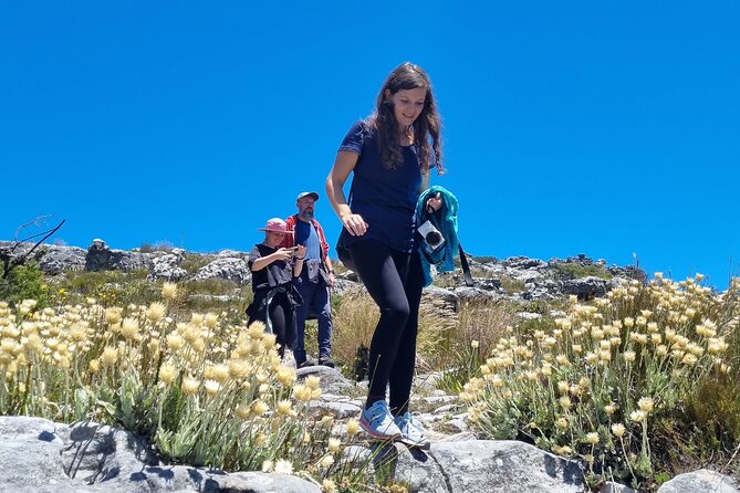 BEST of Table Mountain! Exhilarating Full-day Guided Hike - Backwater Ravine and Echo Valley stream break: the mid-day reset