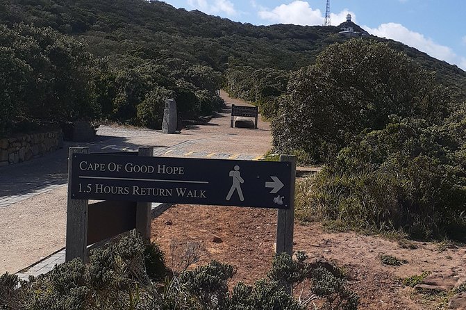 Best Of The Cape 8 Hour Private Tour - Boulders Beach Penguins: Included Admission Means More Time Watching