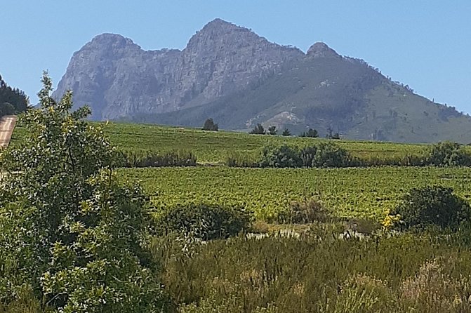 Best Of The Cape 8 Hour Private Tour - Price And Value: What You Pay For At $88.42 Per Person