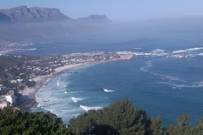 Best Of The Cape 8 Hour Private Tour - Hout Bay Harbour And The Seal Island Option